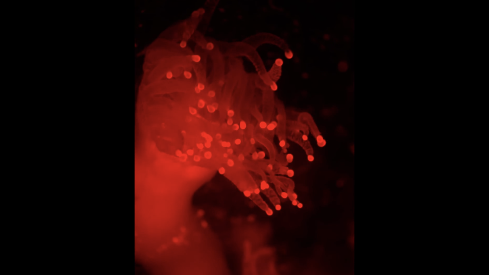 Poster: Art Installation