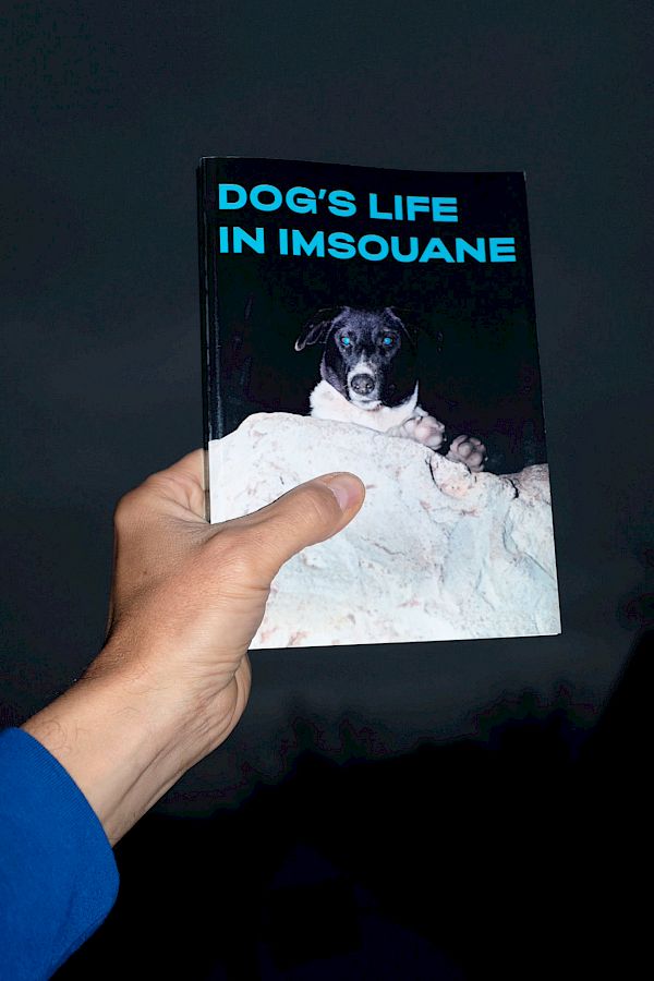 Book DOG`S LIFE IN IMSOUANE