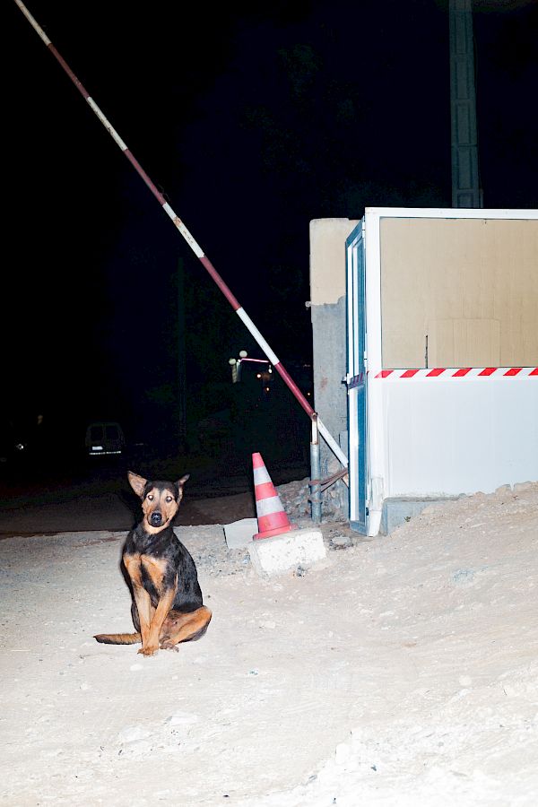 Book DOG`S LIFE IN IMSOUANE