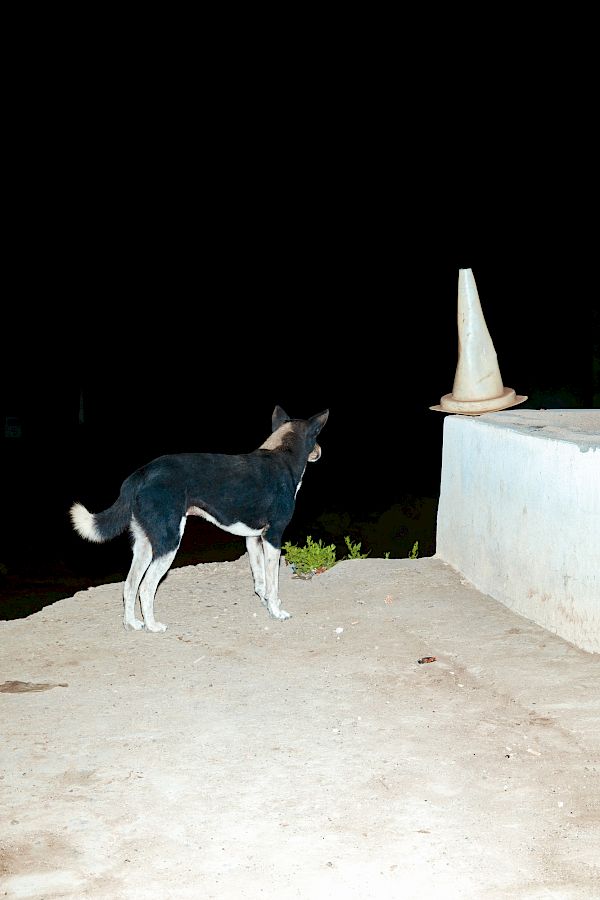 Book DOG`S LIFE IN IMSOUANE