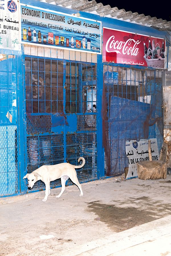 Book DOG`S LIFE IN IMSOUANE