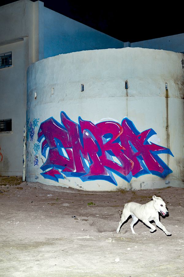 Book DOG`S LIFE IN IMSOUANE