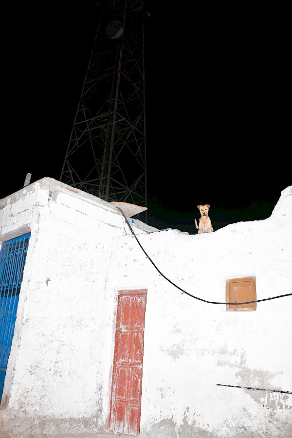 Book DOG`S LIFE IN IMSOUANE