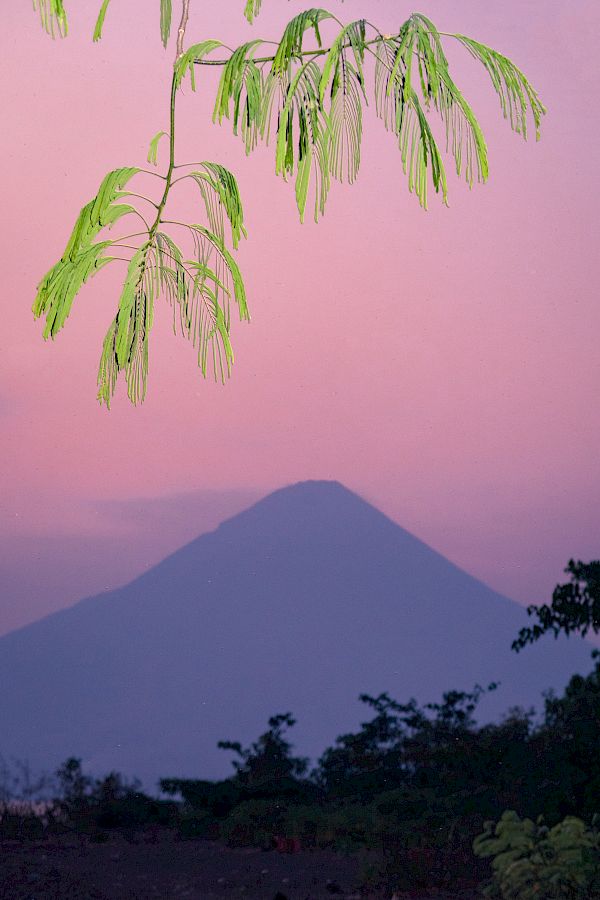 Buenos Tardes Amigo / Postcards from Nicaragua