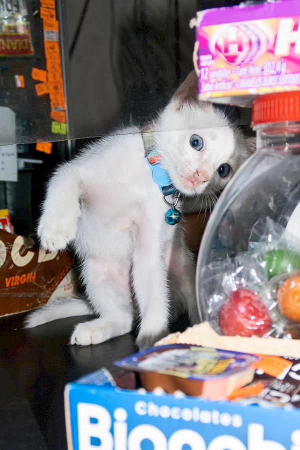 Buenos Tardes Amigo / Postcards from Nicaragua