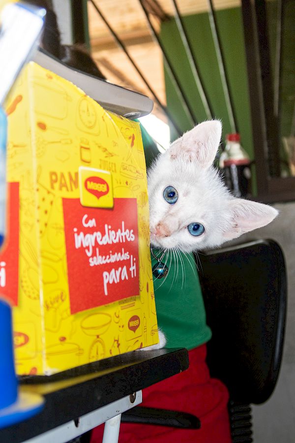 Buenos Tardes Amigo / Postcards from Nicaragua