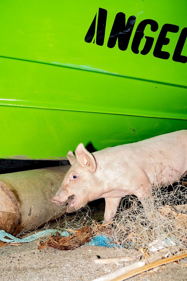 Buenos Tardes Amigo / Postcards from Nicaragua