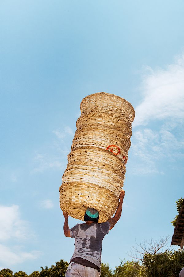 Buenos Tardes Amigo / Postcards from Nicaragua