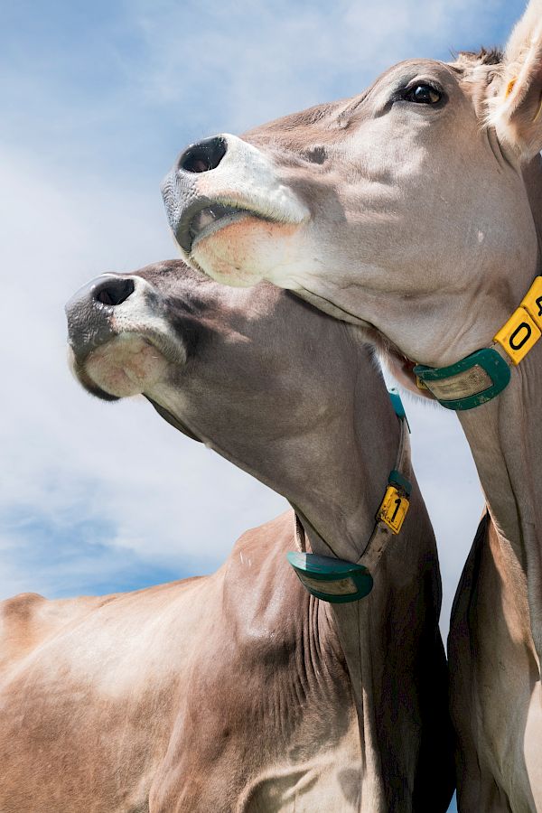 Hochparterre Magazin