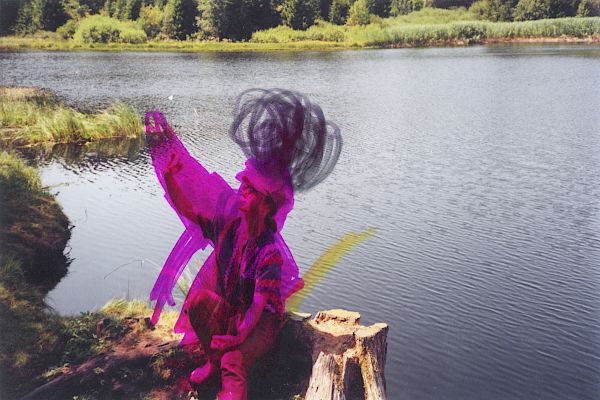 Mellow Gum Afternoon