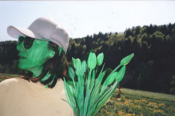 Mellow Gum Afternoon