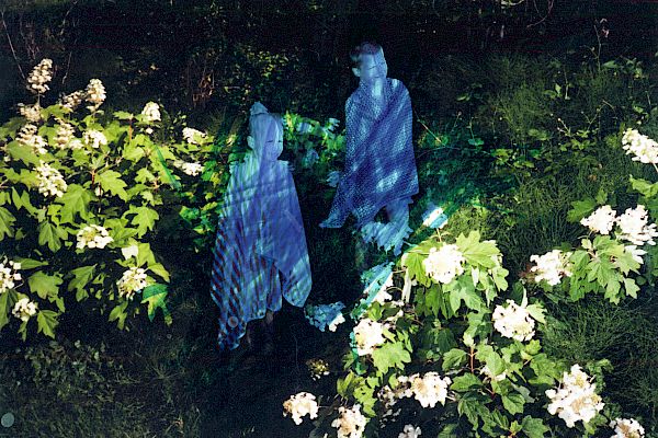 Mellow Gum Afternoon